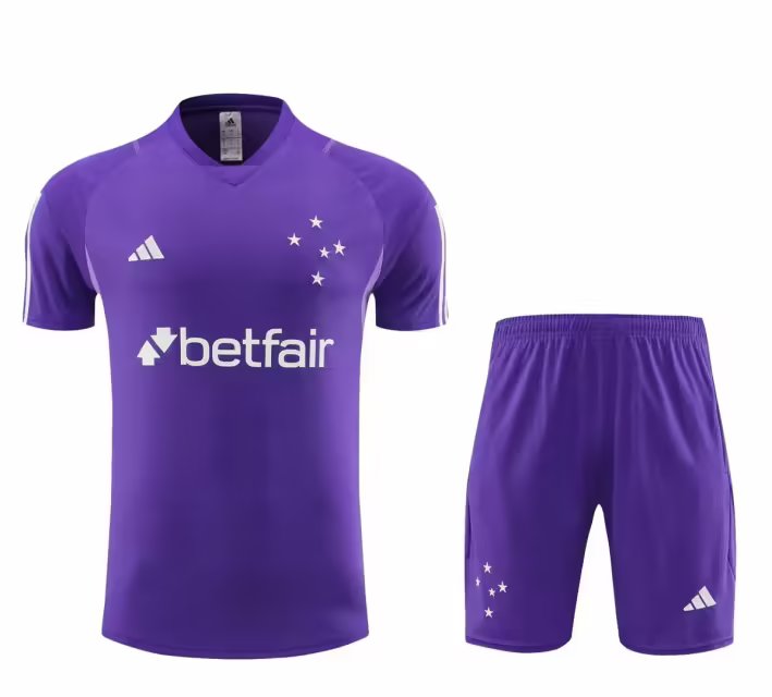 20240722152440-669e79b8a6903.jpg 23/24 Cruzeiro training suit purple S-XXL - Imagem 1