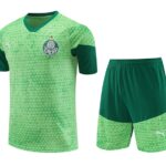 24/25 Palmeira green training kit  S-XXL