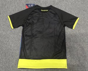 24/25 Botafogo training  Shirt blue S-2XL - Imagem 2