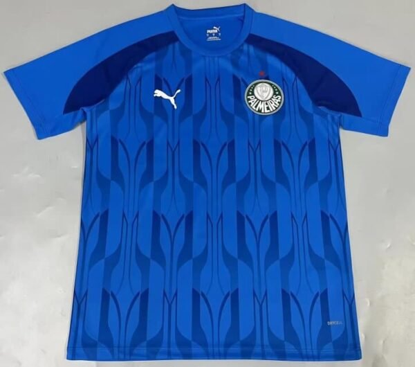 24/25 Goalkeeper Palmeiras pre match blue S-4XL