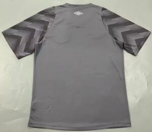 24/25 Santos Grey jersey S-4XL - Imagem 2