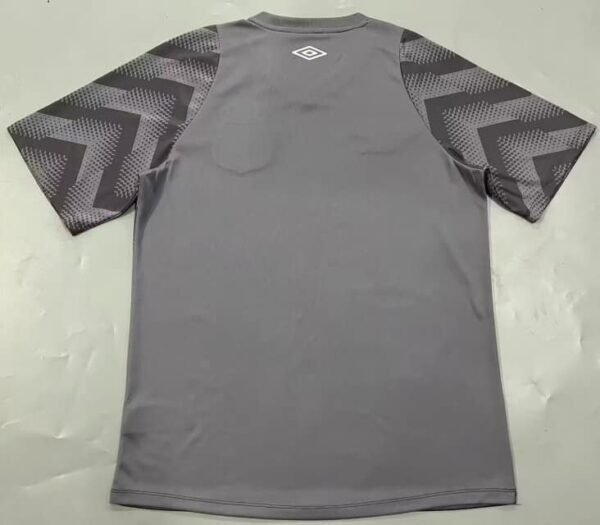 24/25 Santos Grey jersey S-4XL - Image 2