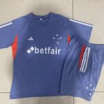 D1115 24/25 Cruzeiro purple  kit  S-2XL
