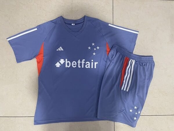 D1115 24/25 Cruzeiro purple  kit  S-2XL