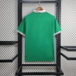 24/25 Nigeria green S-2XL - Imagem 2