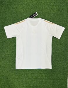24/25 Argentina Spark 10th generation home stadium S-4XL - Imagem 2