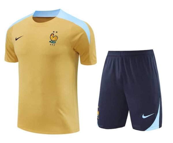 24/25 French Blue Training kit yellow S-XXL