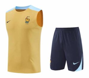 24/25 French Blue Training kit yellow vest S-XXL