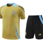 24/25 Argentina training suit kit mud yellow  S-XXL