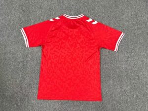 24/25 Denmark Home S-XXL - Imagem 2