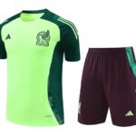 24/25 Mexico light green kit S-XXL