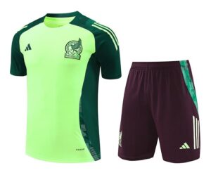 24/25 Mexico light green kit S-XXL