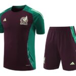 24/25 Mexico deep red and green  kit S-XXL