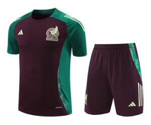 24/25 Mexico deep red and green  kit S-XXL