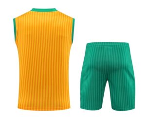 23/24 Bayern training suit vest yellow retro S-XXL - Imagem 2