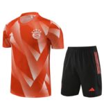 23/24 Bayern training suit red S-XXL