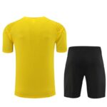 D914 23/24 Dortmund training suit yellow S-XXL - Imagem 2