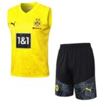 D912 23/24 Dortmund training suit VEST yellow S-XXL