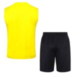 D912 23/24 Dortmund training suit VEST yellow S-XXL - Imagem 2