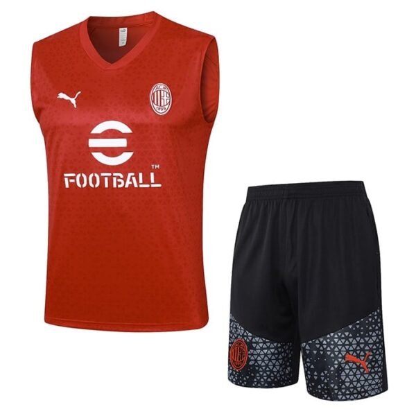 D929 23/24 AC Milan red vest  S-XXL