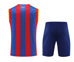 23/24 Barcelona blue red yellow strip vest training suit S-XXL - Imagem 2