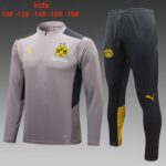 E689 23/24 Dortmund short zipper Gray kits S-XXL