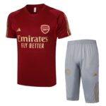 D949- # 23/24 Arsenal training suit deep red S-XXL