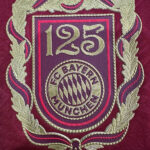 2526 Bayern 125 Years  version S-4XL - Imagem 3