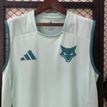25/26 Cruzeiro Training Vest Jersey S-4XL - Imagem 5