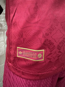 2526 Bayern 125 Years player version S-XXL - Imagem 8