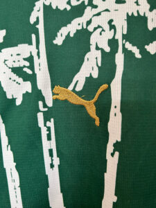 25/26 Palmeiras green jersey S-2XL - Imagem 6