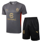 D1269 2425 AC milan short kit  grey S-XXL