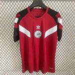 2025/26 Ajax Special Jersey S-4XL