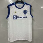 2526 Paysandu Away Vest S-4XL